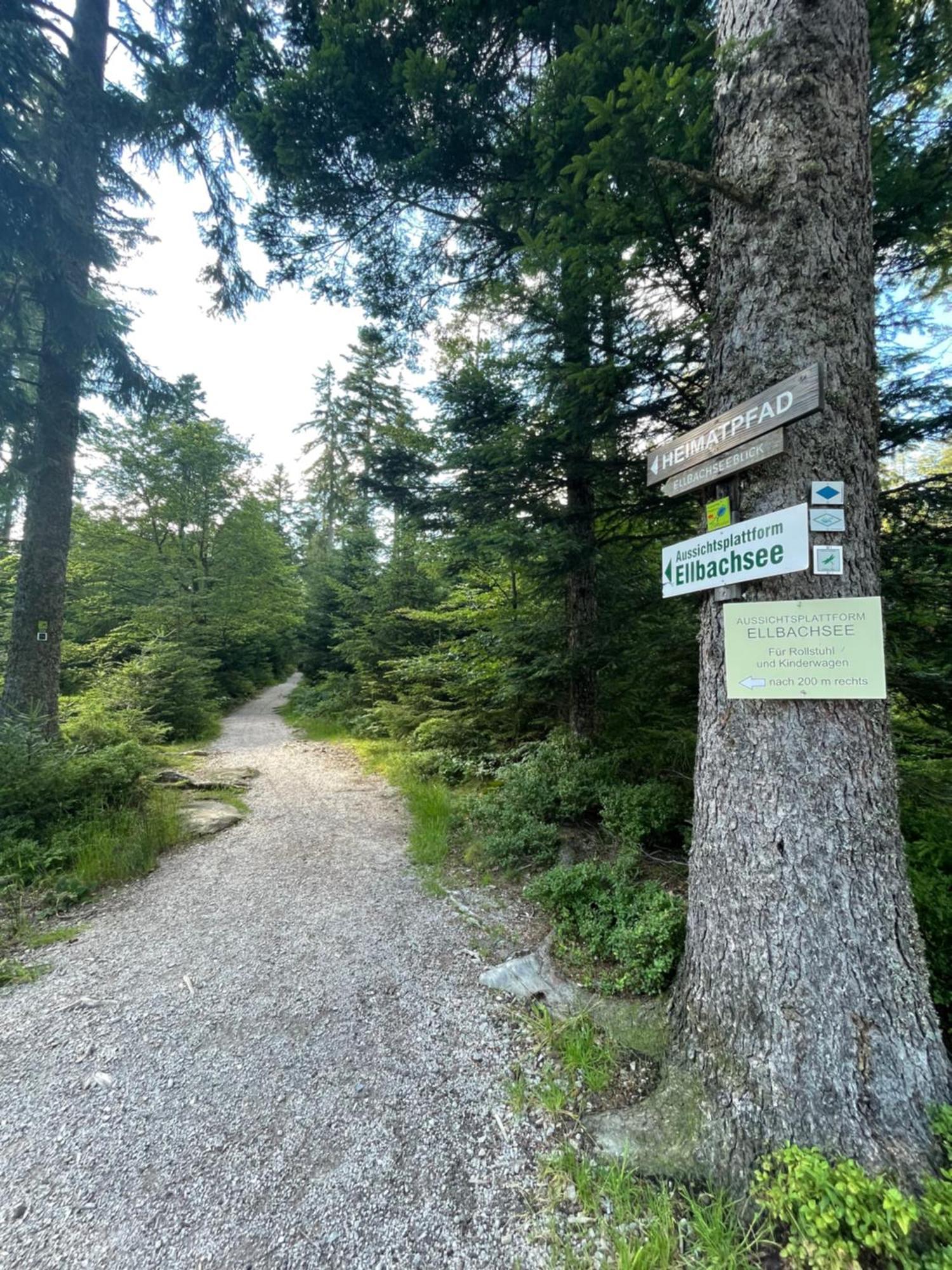 Casa Black Forest - Freudenstadt Kniebis Eksteriør billede