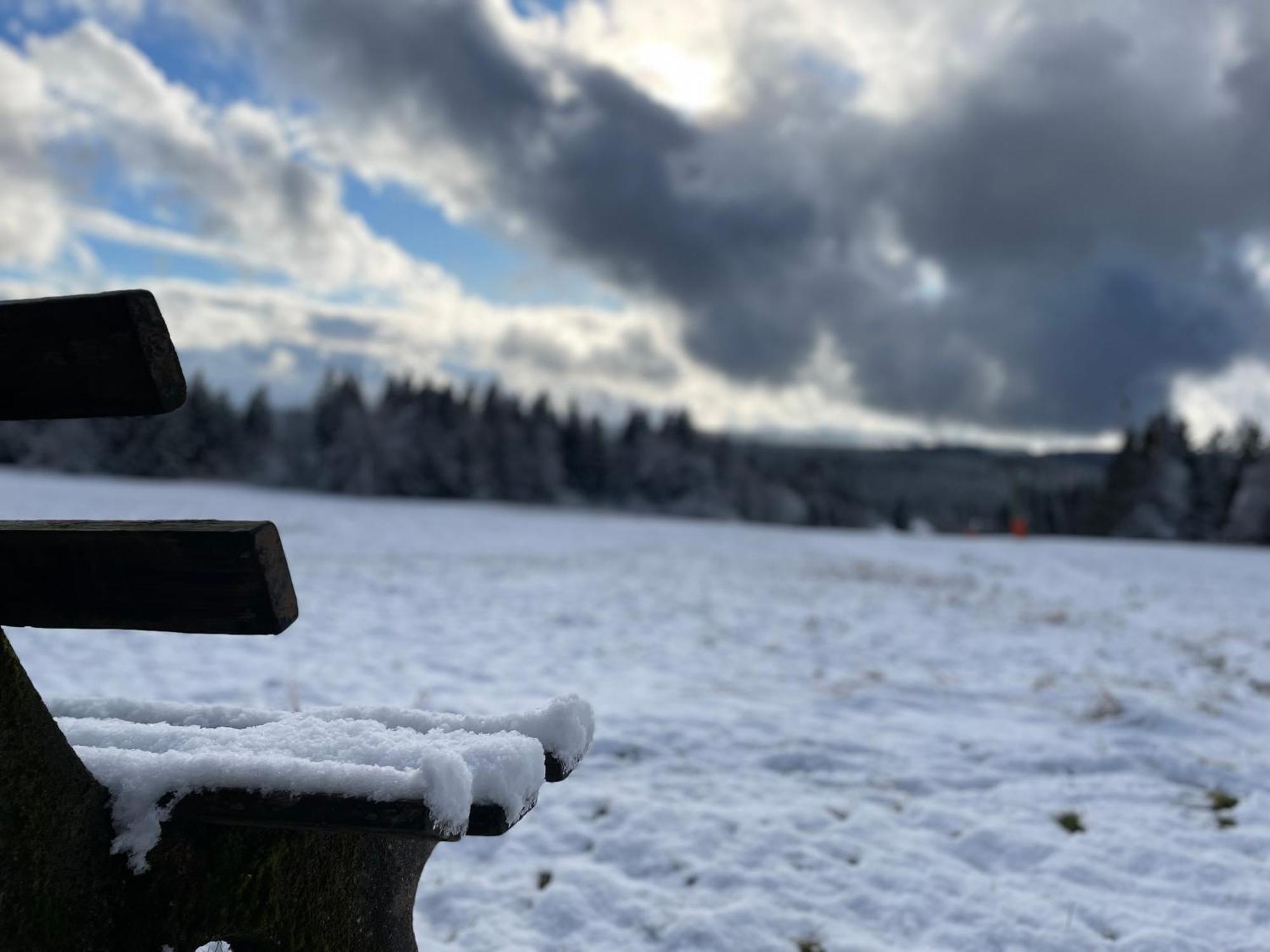 Casa Black Forest - Freudenstadt Kniebis Eksteriør billede